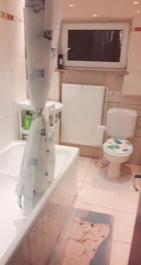 Belle Chambre Dans Un Quartier Calme 브뤼셀 외부 사진